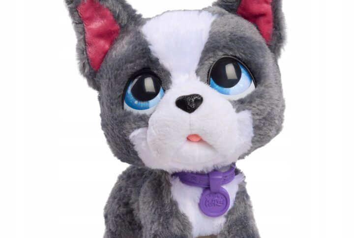 ade47581980c1694629a5ded0859cc9e