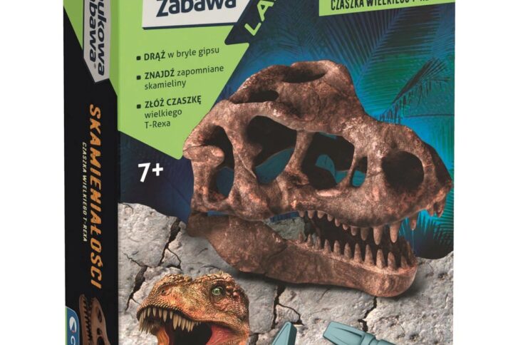 e26a517cb7225fc362fa925f5cc203dc